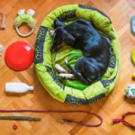 Best Soft Dog Toys for Aggressive Chewers