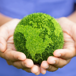 11 ways to live more sustainably