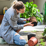 How To Start a Vegetable Garden at Home