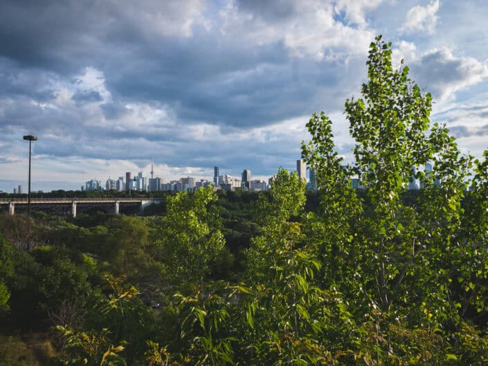 In Love With Chester Hill Lookout