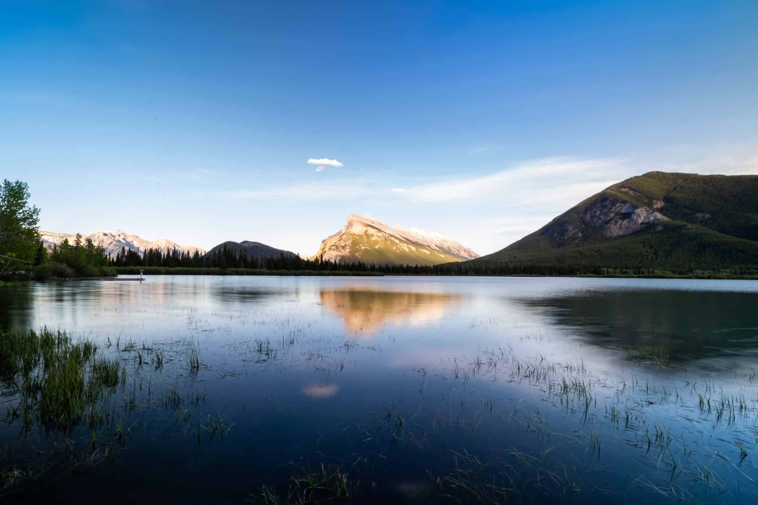 A picture of a mountain with a lake in the forefront with grass submerged Vermilion Lakes