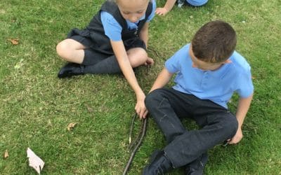 Read more about Year 1 Forest School