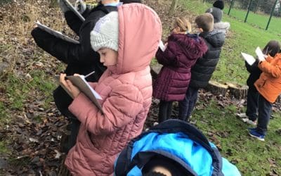 Read more about Statistics in Year 3