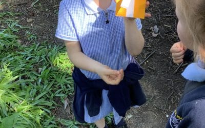 Read more about Forest School