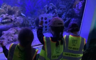 Read more about Tynemouth Aquarium