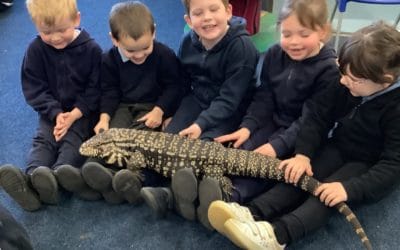 Read more about Amazing Animals!