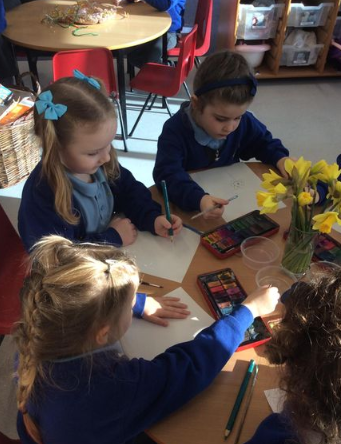 Learning to observe and draw