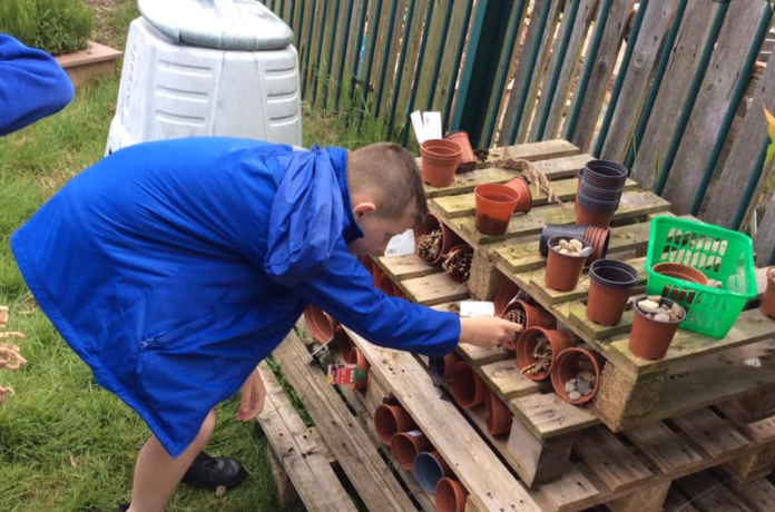Our Bug Hotels