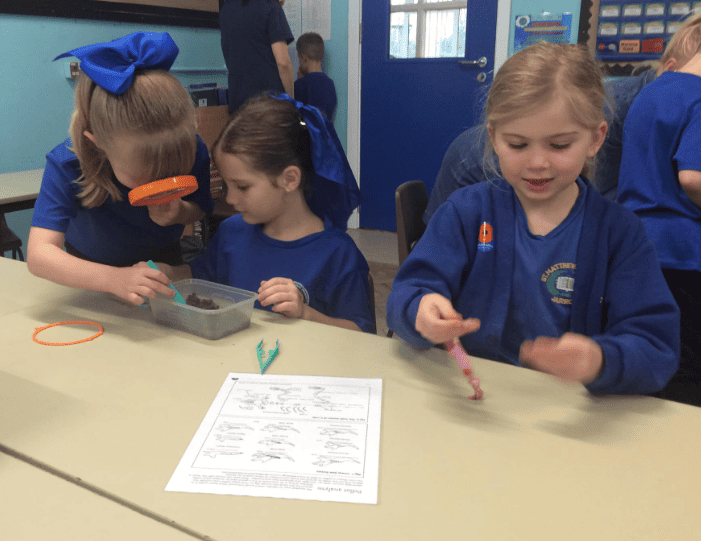 Investigating owl pellets