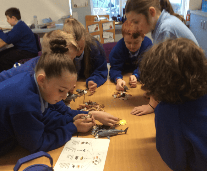 Classifying living things