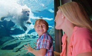 free SeaWorld admission,teacher discounts,SeaWorld teacher pass,free theme park tickets,educator perks,SeaWorld deals,free tickets for teachers,teacher appreciation,family fun,amusement park deals