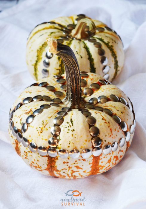 No Carve Pumpkin Ideas