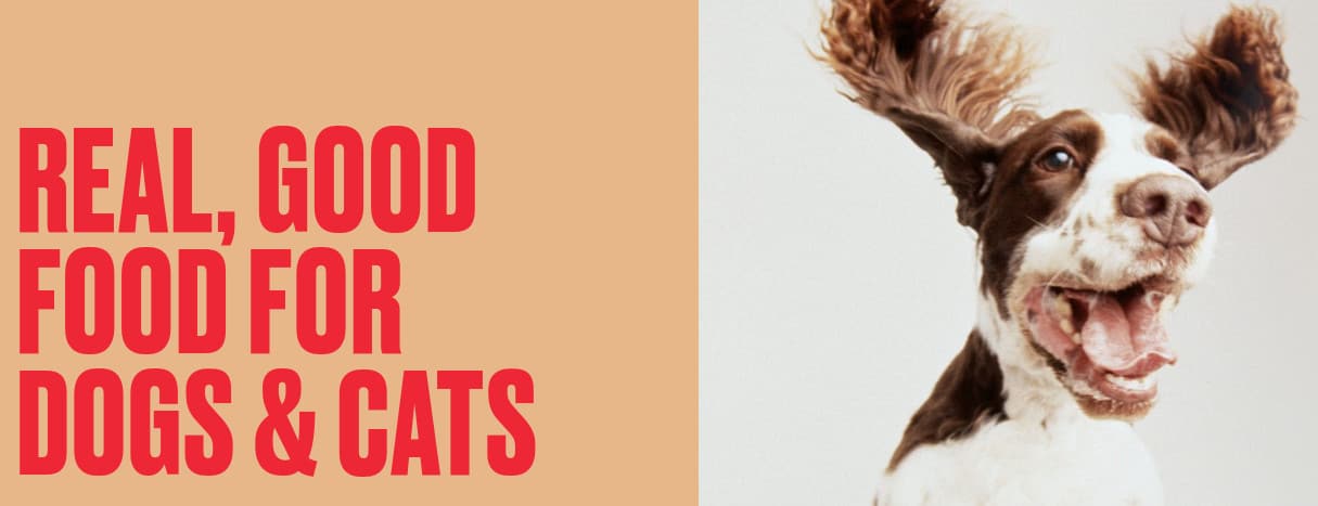 Nom Nom pet food discount,50% off pet food,fresh pet food deal,Nom Nom first order offer,pet food promotion,healthy dog food,fresh cat food,Nom Nom coupon,pet meal delivery,premium pet food savings.