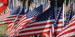 veterans day thank you flags