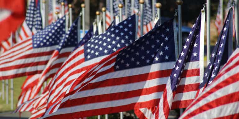 veterans day thank you flags