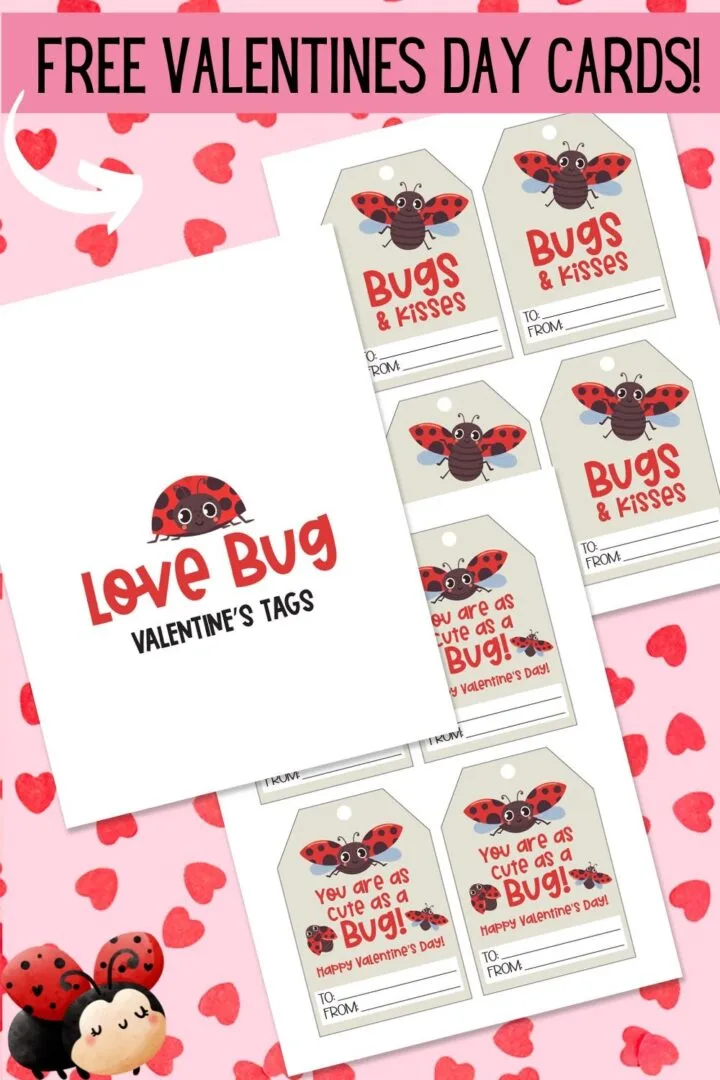love bug valentine cards 720x1080.jpg