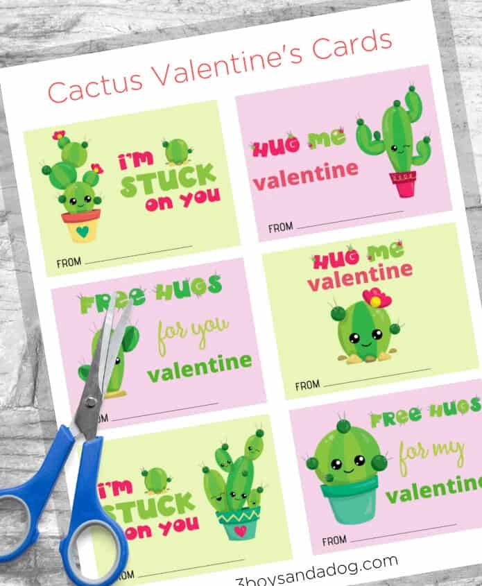 sweet face cactus valentine cards