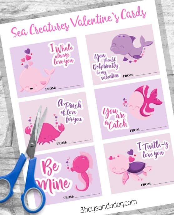 sweet face ocean animals valentine cards.png