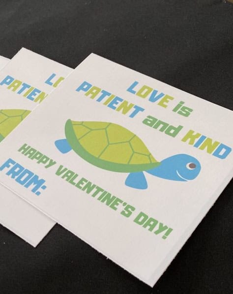 turtle cards
