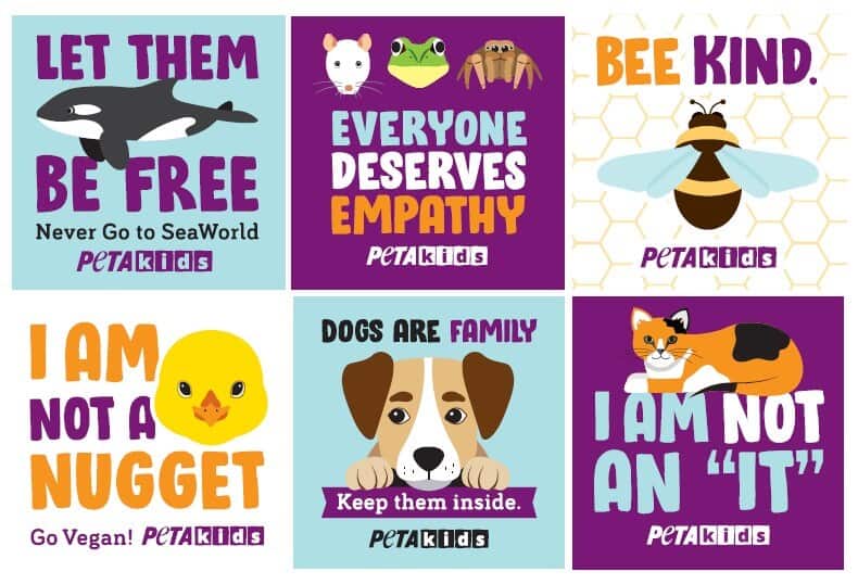 free peta kids stickers