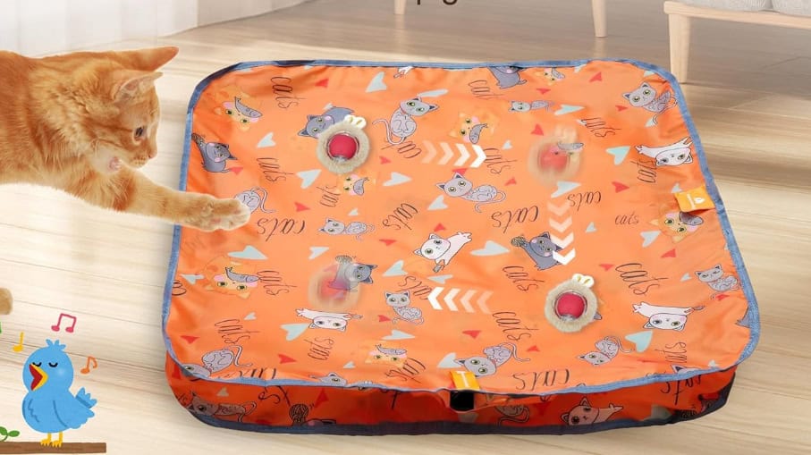 Cat playing with interactive orange activity mat.