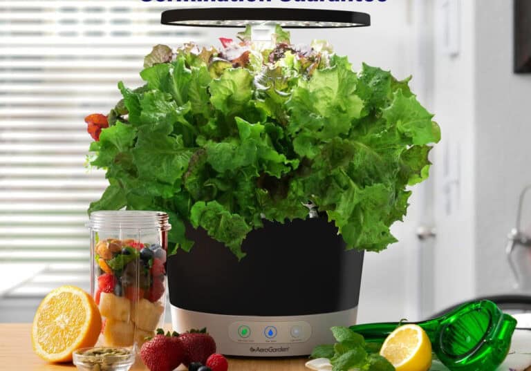 aerogarden harvest 360