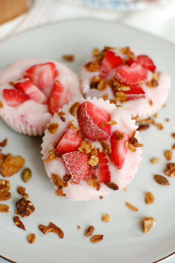 frozen yogurt granola bites image 2