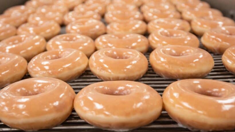 krispy kreme donuts plain