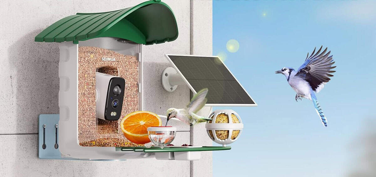 ai bird feeder