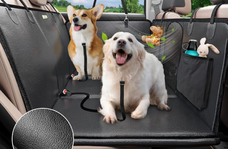 Dogs sitting on car seat cover for pets.