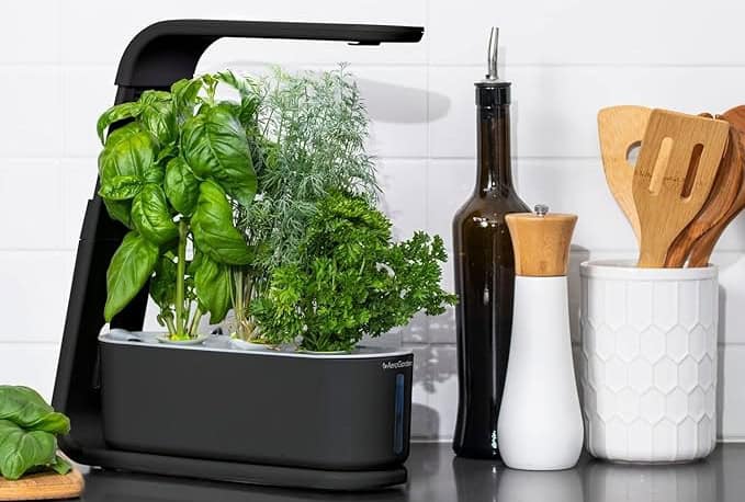 aerogarden sprout