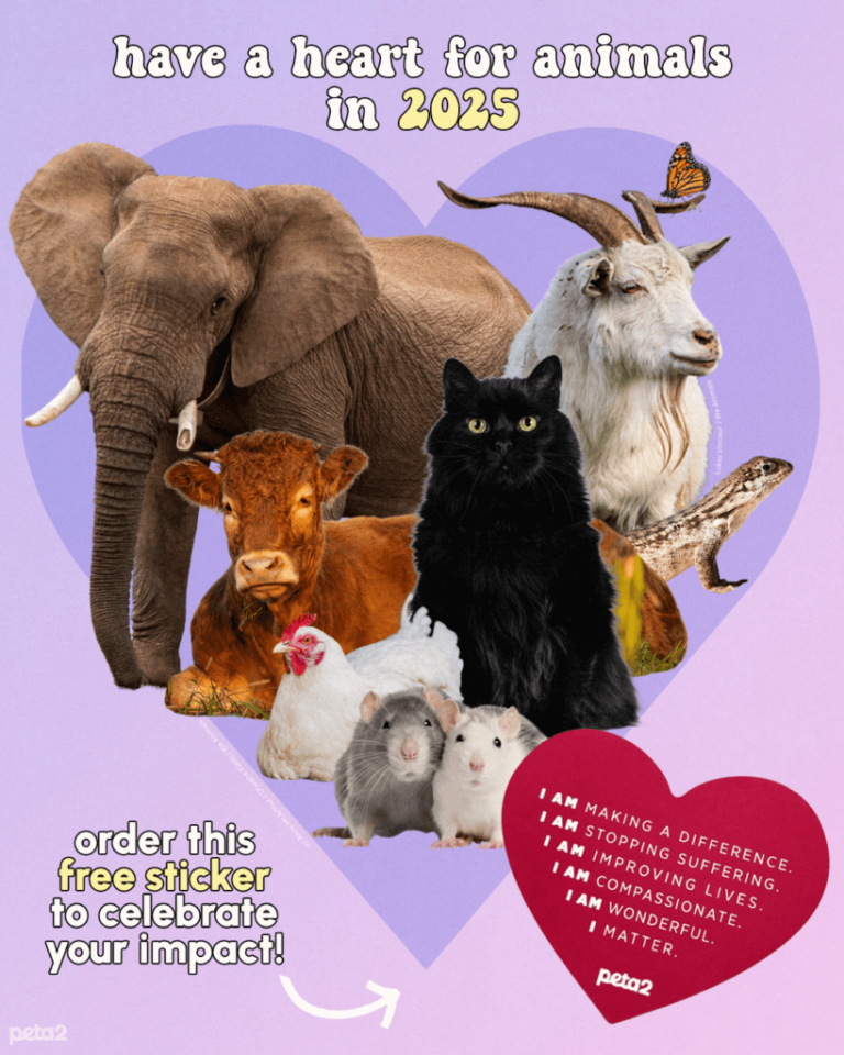 Animals promoting compassion and impact in 2025.