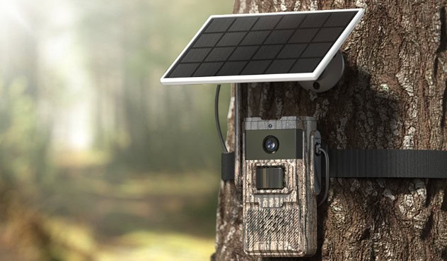 Trail camera with solar panel on tree