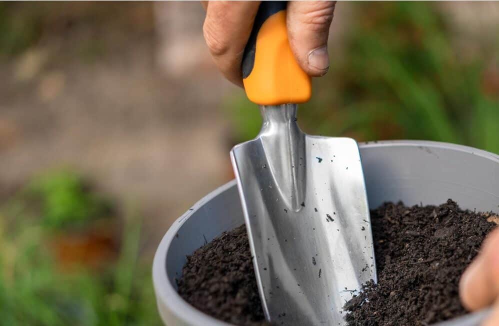 Hand using trowel to dig soil in pot.