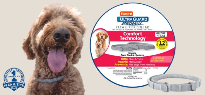 Dog with flea and tick collar product package.
