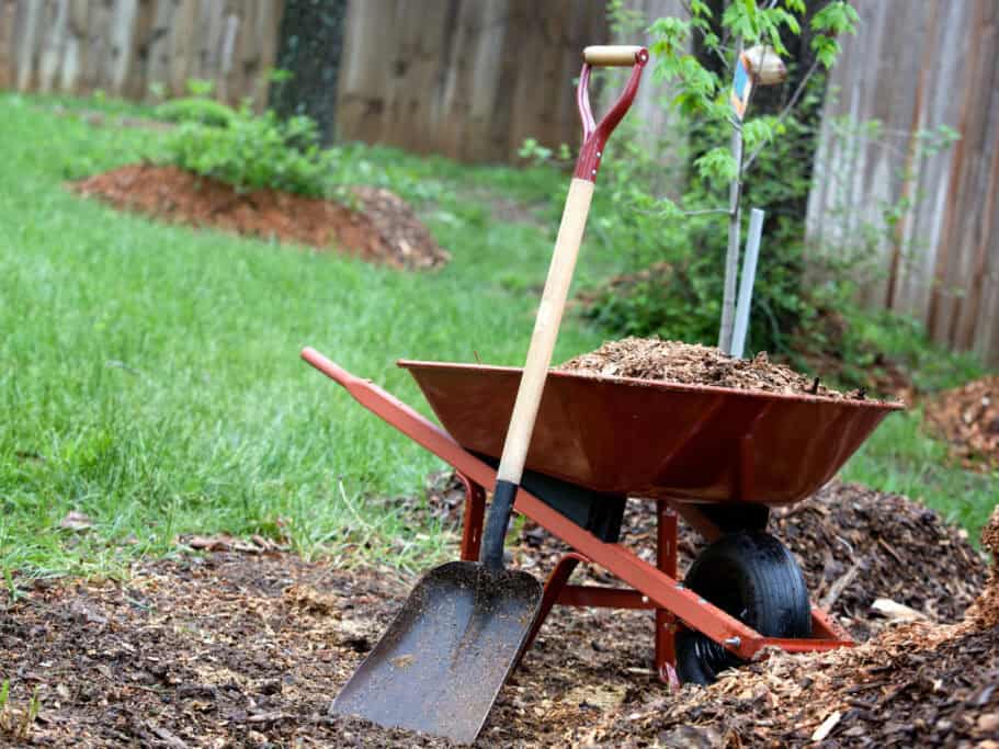 Wheelbarrow with shovel in a garden area.