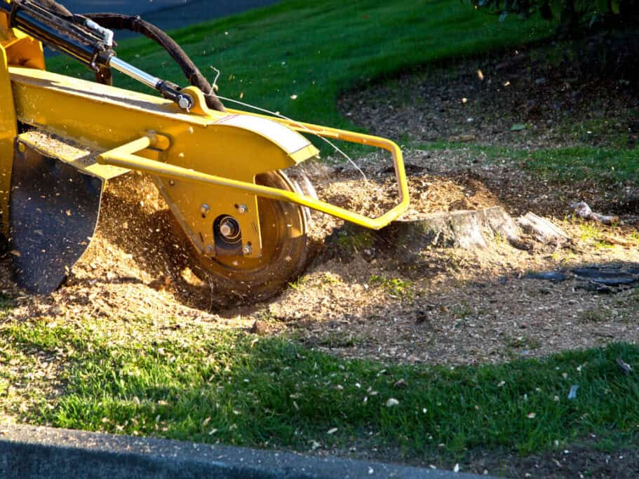 Stump grinder removing tree stump in yard