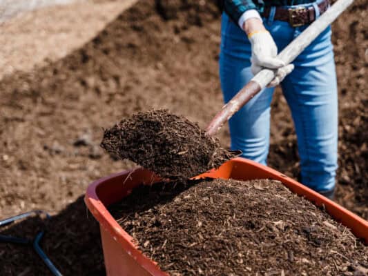 Person shoveling mulch into wheelbarrow for gardening.