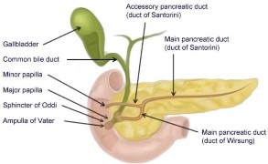 Biliary & Pancreatic Conditions