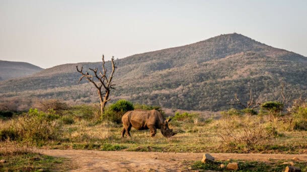 Voyage Afrique du Sud