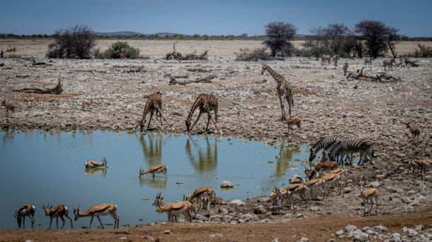 que voir namibie