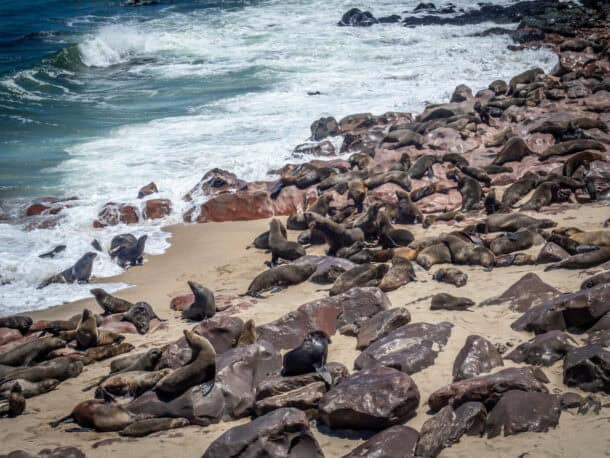 vacances en namibie