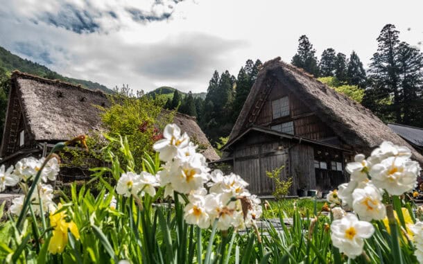shirakawa-go séjour japon