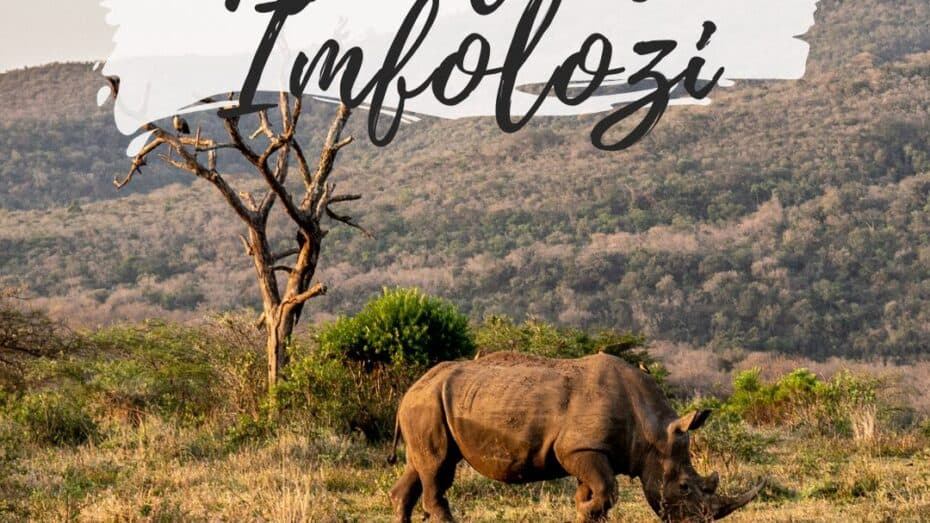 Safari parc Imfolozi - Afrique du sud