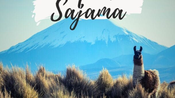 Visiter le parc Sajama en Bolivie