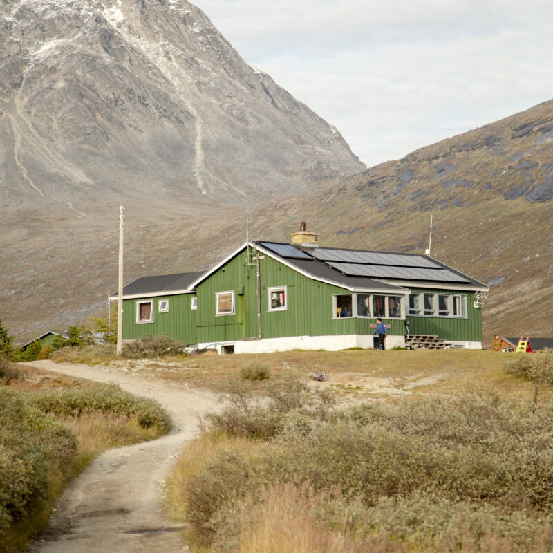 qooqqut-nuan