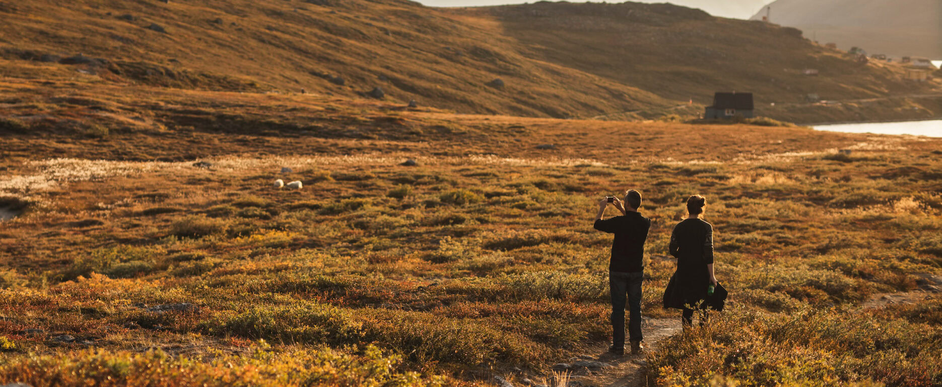 Two hikers taking photos of grazing sheep at the Nuuk Fjord, Capital Region