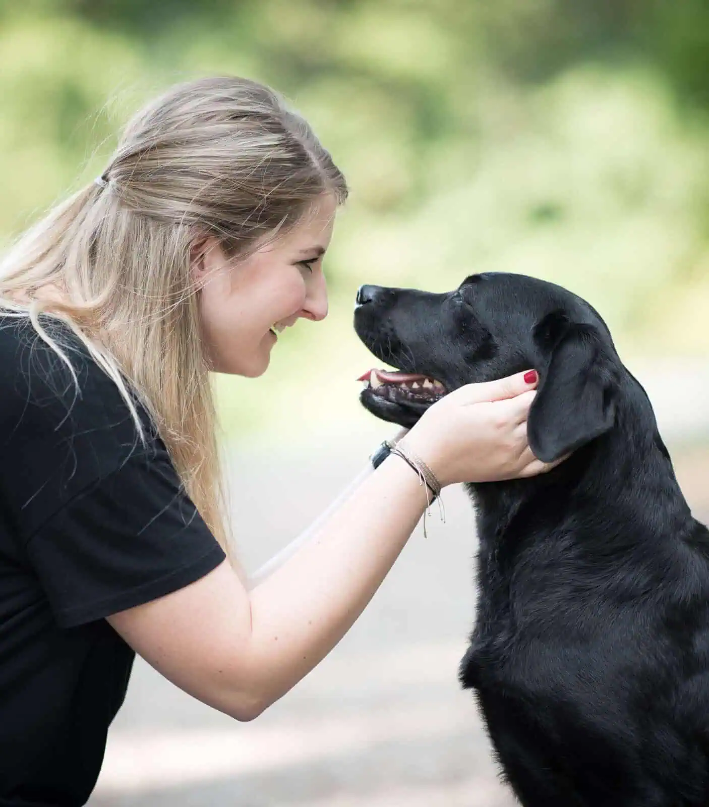 vollzeit4beiner-kerstin-quast-positives-hundetraining-online