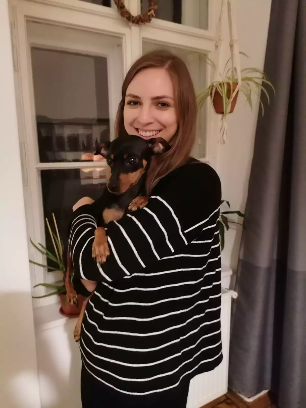 review-bewertung-vollzeit4beiner-hundeschule-linz-land