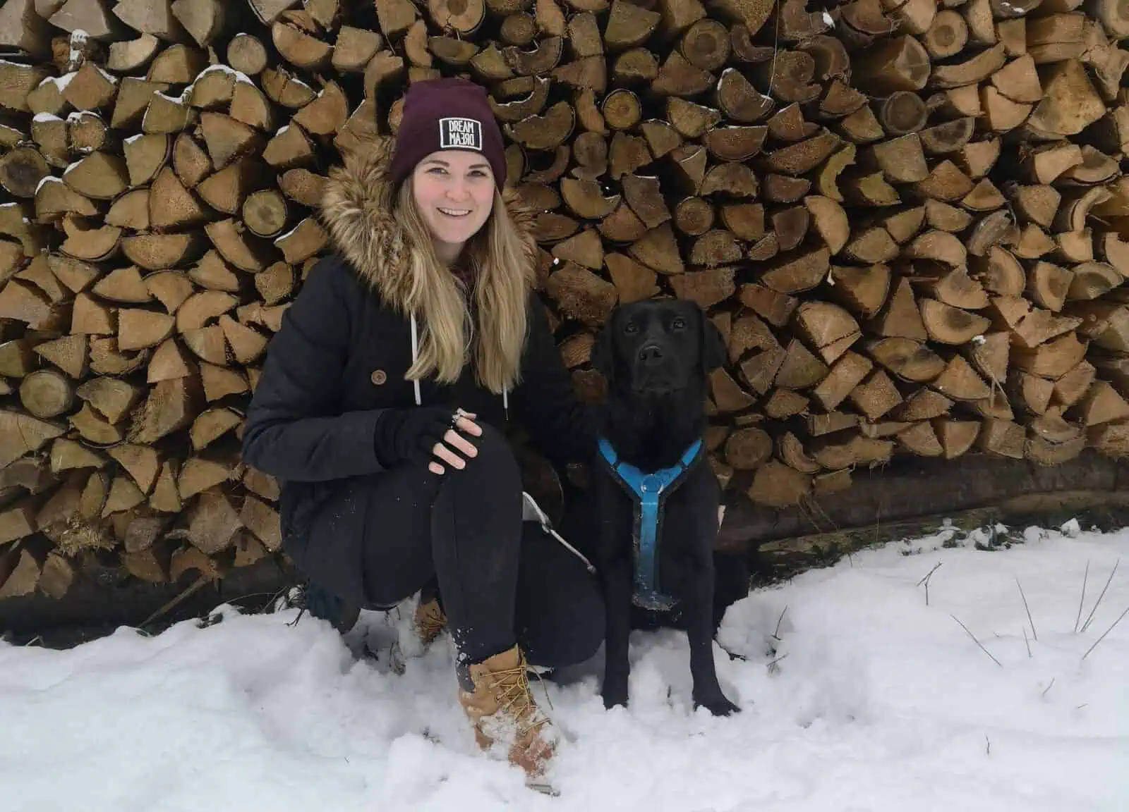 zeitmanagement-im-alltag-mit-hund-tipps-vollzeit4beiner-zeit